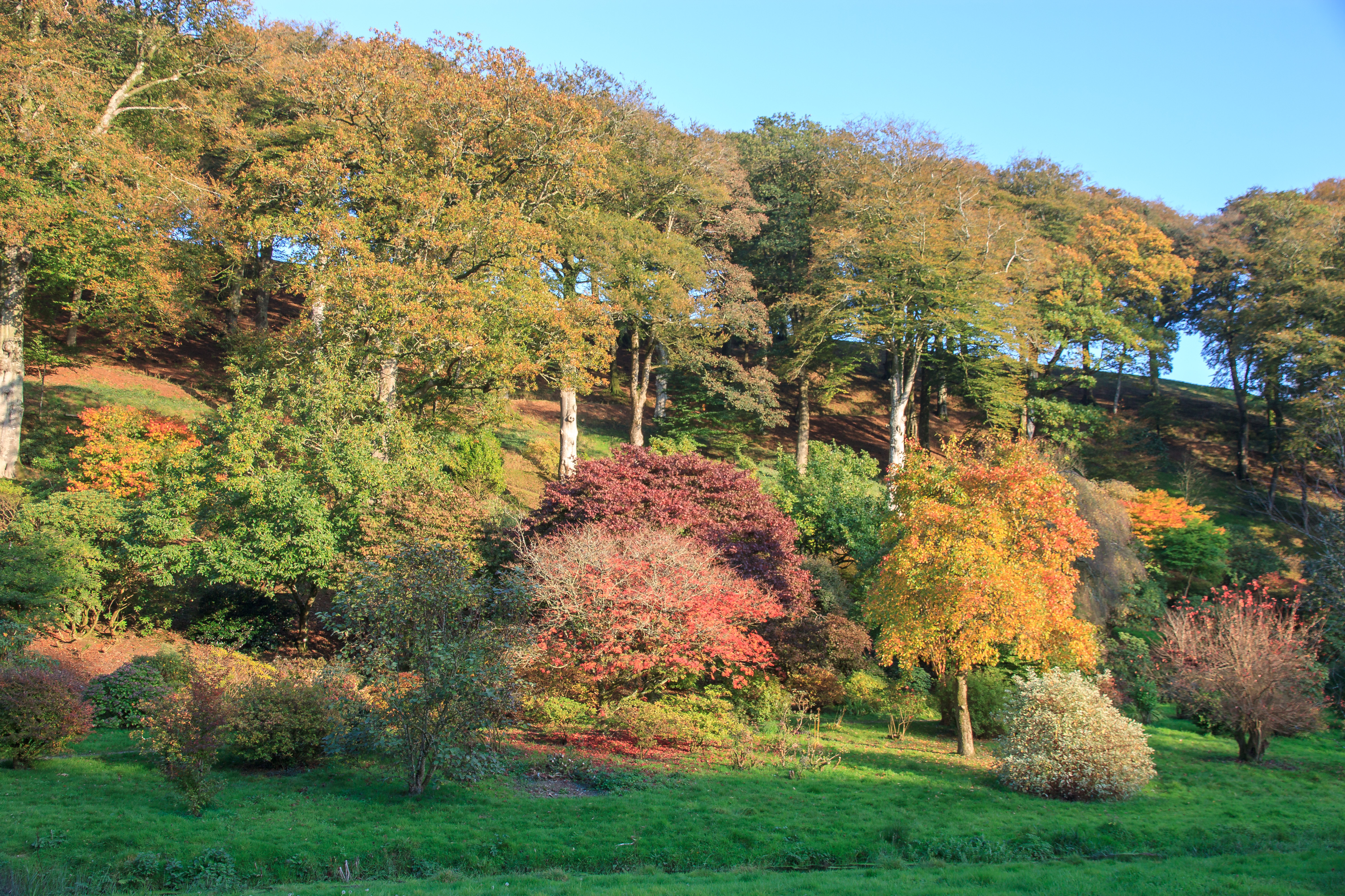 Castle Hill Gardens near South Molton in October