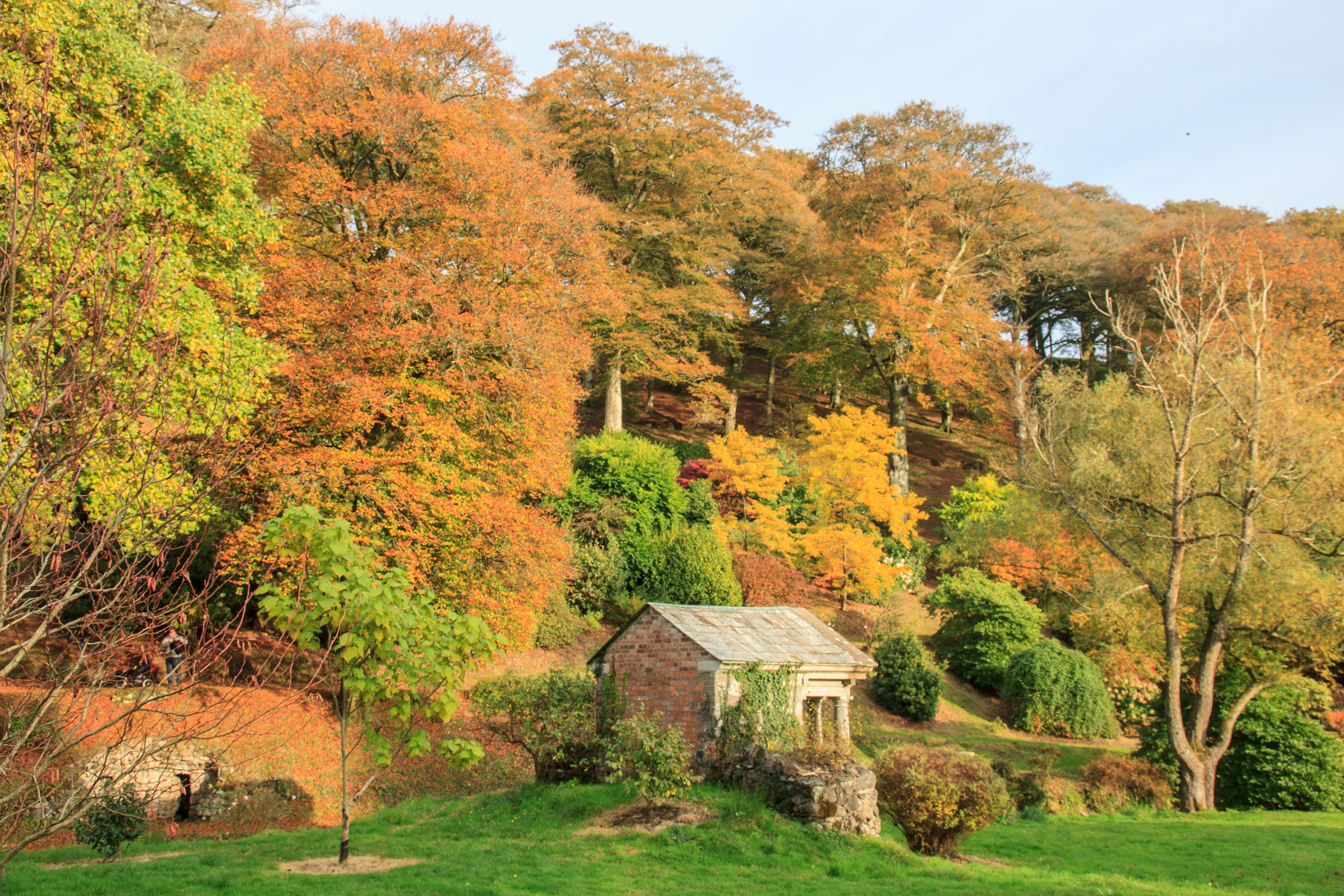 Castle Hill Estate in the Autumn