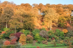 Castle Hill Gardens near South Molton