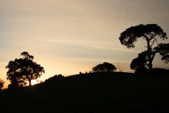 Castle Hill Gardens near South Molton