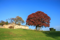 Castle Hill House and Gardens near South Molton in October