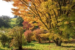 Castle Hill Gardens near South Molton in October