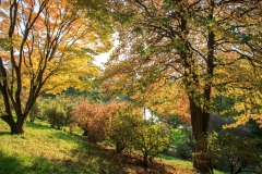 Castle Hill Gardens near South Molton in October