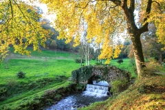 Castle Hill Gardens near South Molton in October