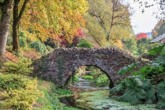 Castle Hill Gardens near South Molton in October