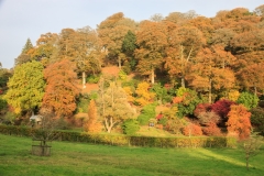 Castle Hill Estate in the Autumn