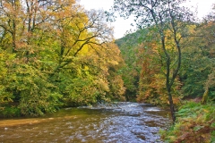 IMG_8462_Low-res