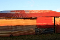 Corrugated shed on Exmoor near Challacombe