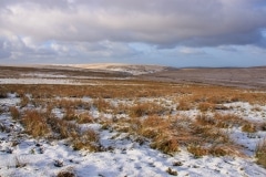 January: Exmoor