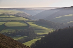 Fields and shadows  near Brendon, Exmoor. December 2014