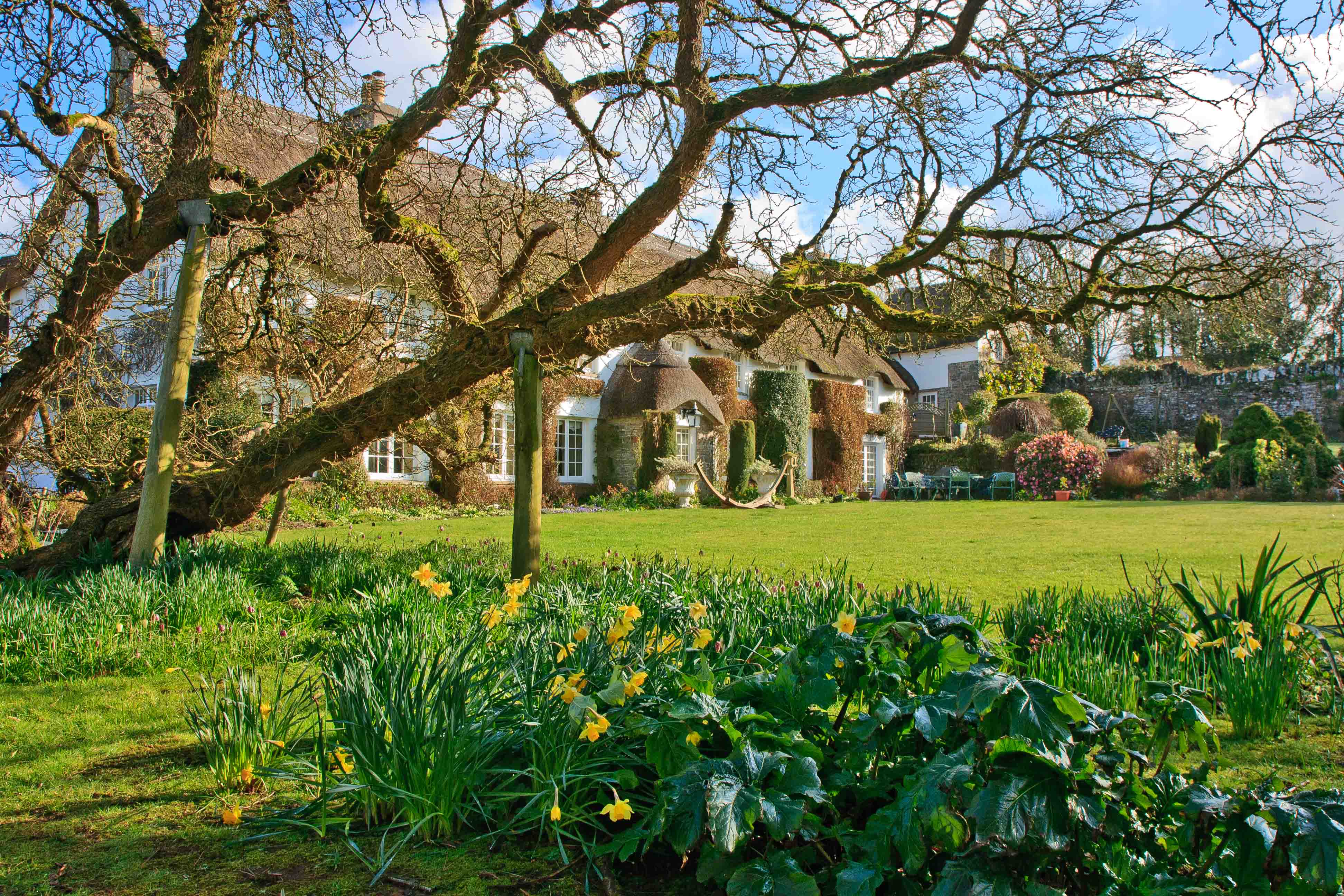 March: Putsborough Manor near Georgeham