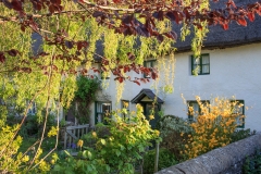 April: Henry Williamson's Cottage in Georgeham