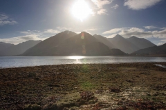 IMG_5344_Low-Res