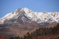 IMG_5362_Low-Res