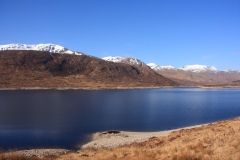 IMG_5370_Low-Res