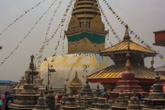 IMG_0698_Low Res