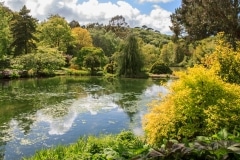 Marwood Hill Gardens