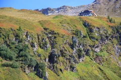 IMG_7027_Hi-Res