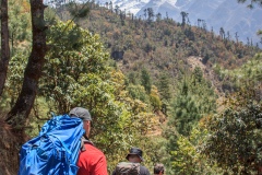 The first day - descending from Lukla to the valley below!