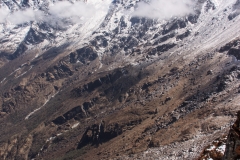 IMG_0543_Hi res