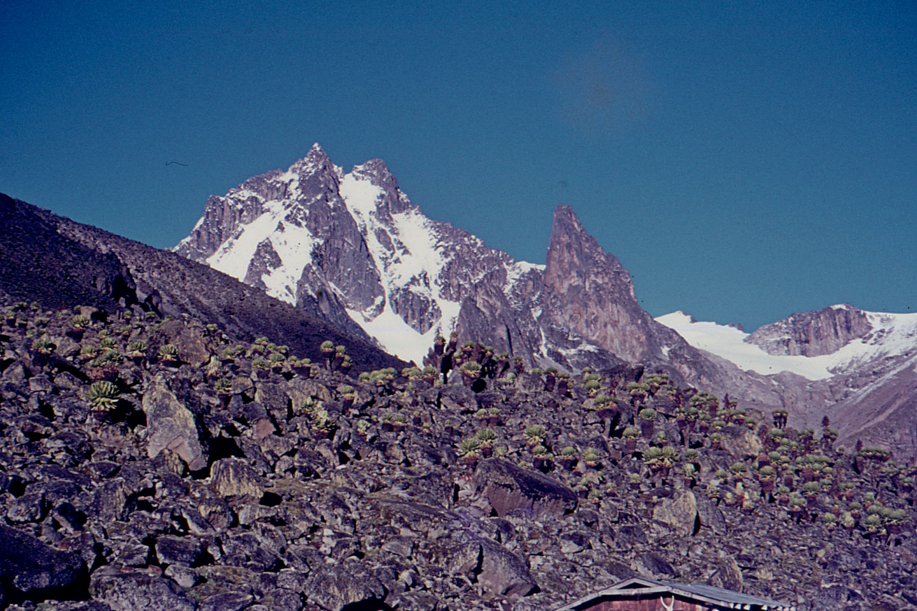 Mt-Kenya-1971004_Low-Res