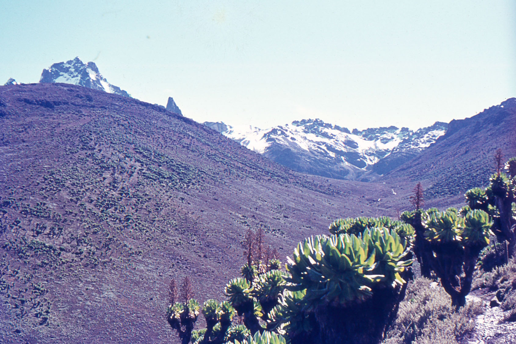 Mt-Kenya-1971006_Low-Res