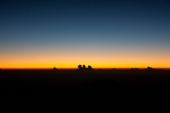 IMG_9502_Low-Res
