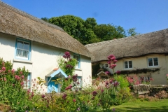 Thatched Cottages in Georgeham