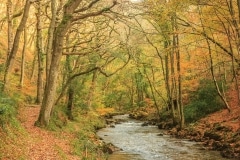 East Lynn river above Watersmeet.