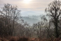 View towards Dartmoor from above the River Teign Gorge