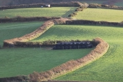 Devon Fields near Georgeham