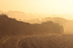IMG_9798_Low-Res