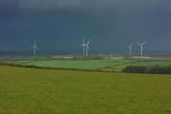 MG_9567-1