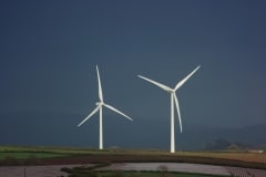 MG_9575-6