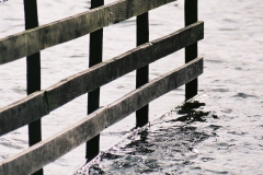 Fence in Lake