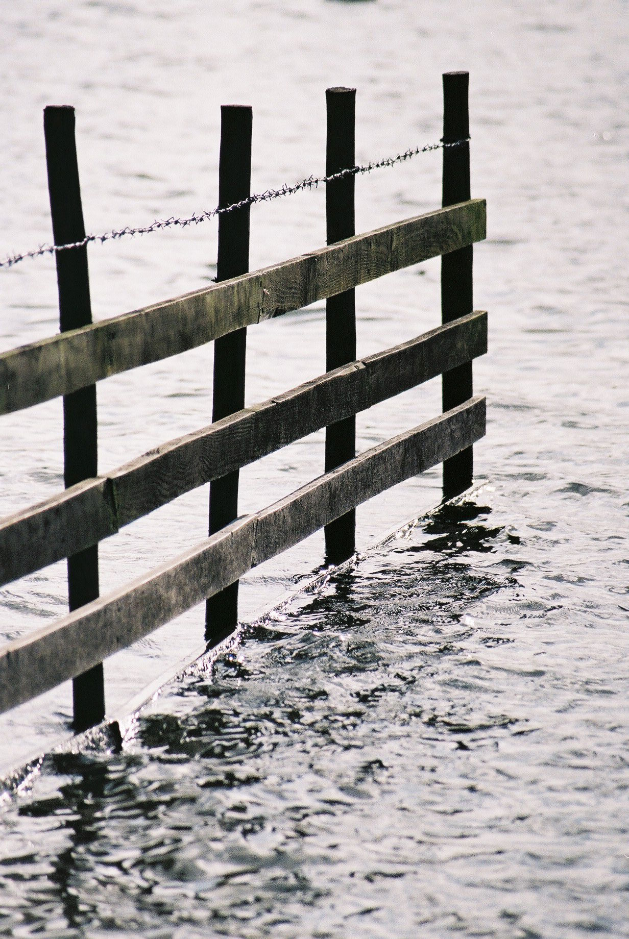 Fence in Lake