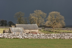 Barn and Trees during storm in Peak District, March 2018