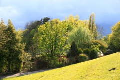 IMG_0020_Hi_Res