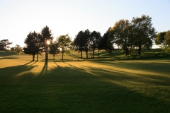 IMG_0039_Hi-Res