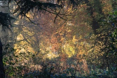 IMG_1410_Hi-Res