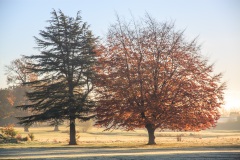 IMG_1413_Hi-Res