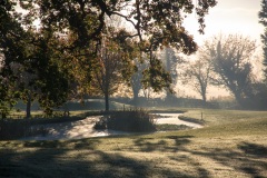 IMG_1458_Hi-Res