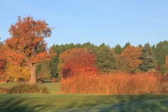 IMG_1460_Hi-Res