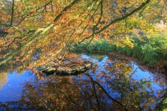 IMG_1469-HDR_Hi-Res
