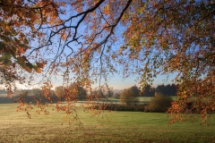 IMG_1473_Hi-Res