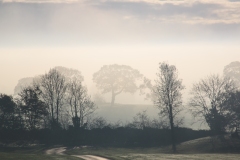 IMG_1486_Hi-Res