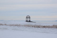 IMG_1611_Hi-Res