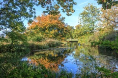 IMG_7050_Hi-Res