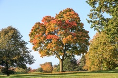 IMG_7058_Hi-Res