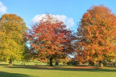 IMG_7180-Pano_Hi-res